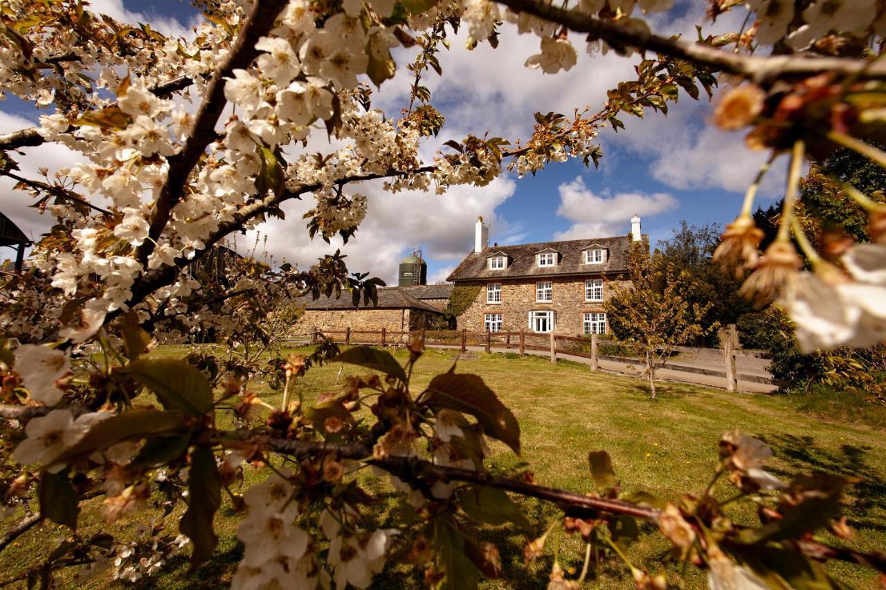 Anran At Tidwell Farm Bed & Breakfast Staverton  Bagian luar foto